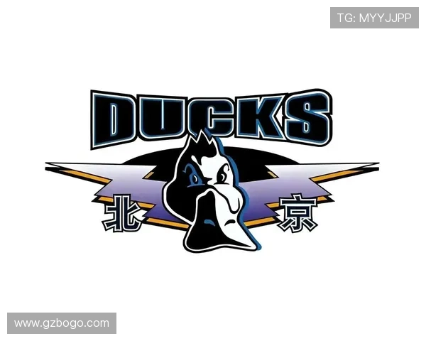 北京首钢新外援人选基本确定